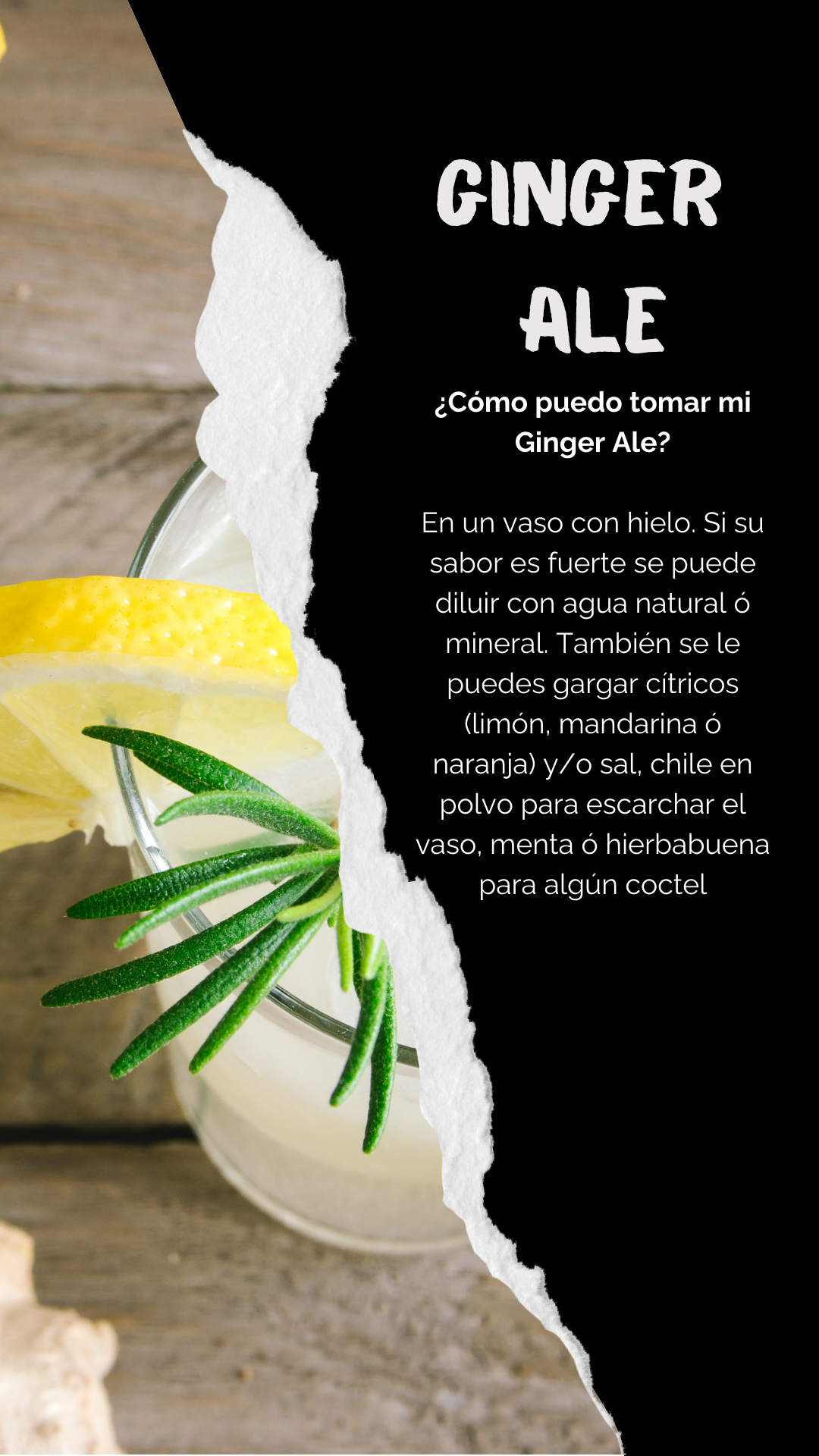 GINGER ALE = CERVEZA DE JENGIBRE