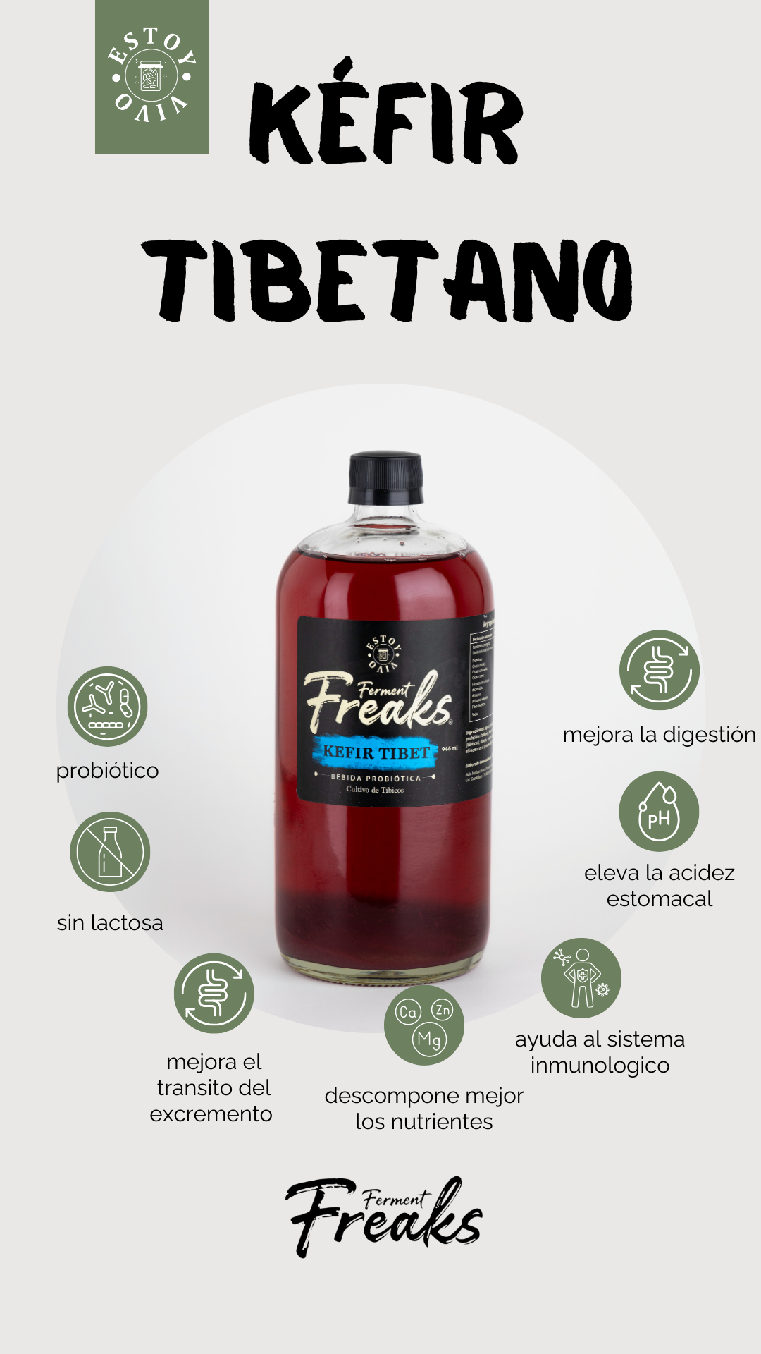 KÉFIR TIBETANO = FERMENTO DE AGUA Y BULGAROS