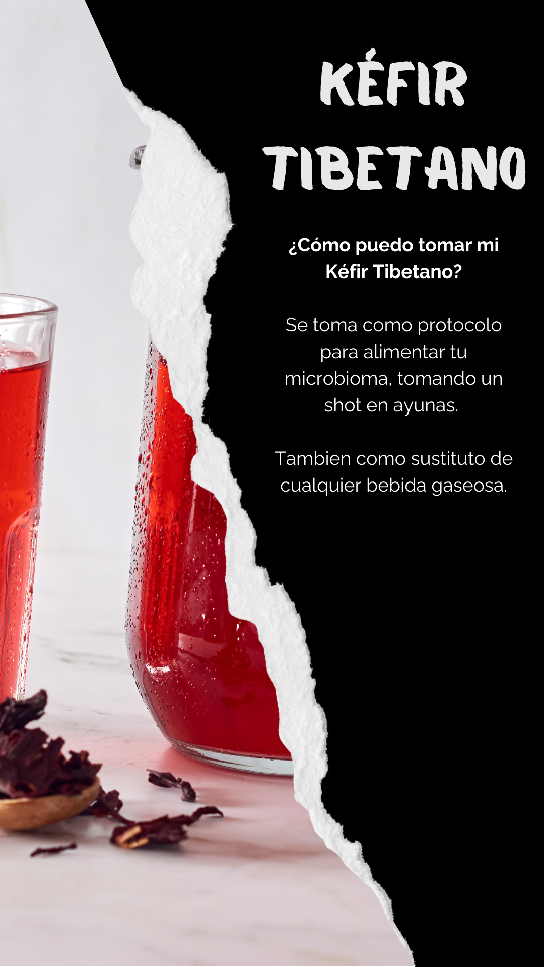 KÉFIR TIBETANO = FERMENTO DE AGUA Y BULGAROS