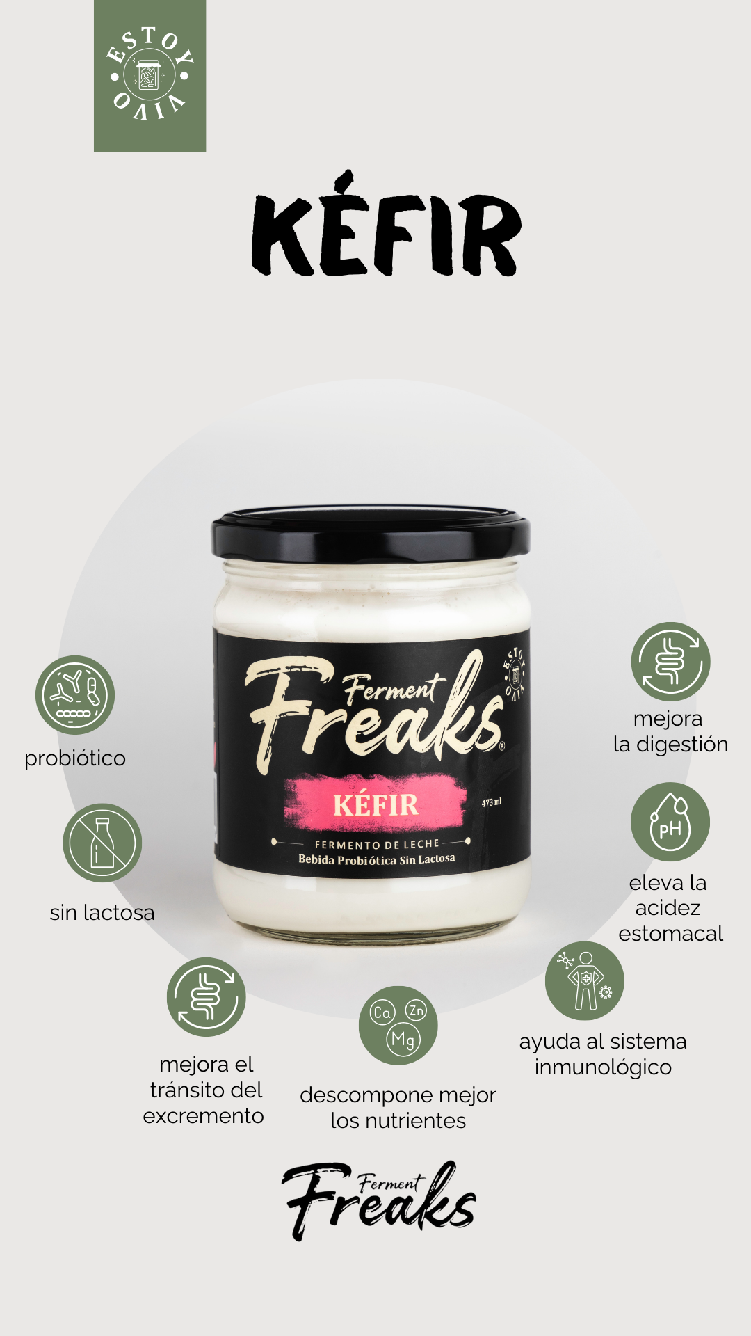 KEFIR DE LECHE = FERMENTO DE LECHE