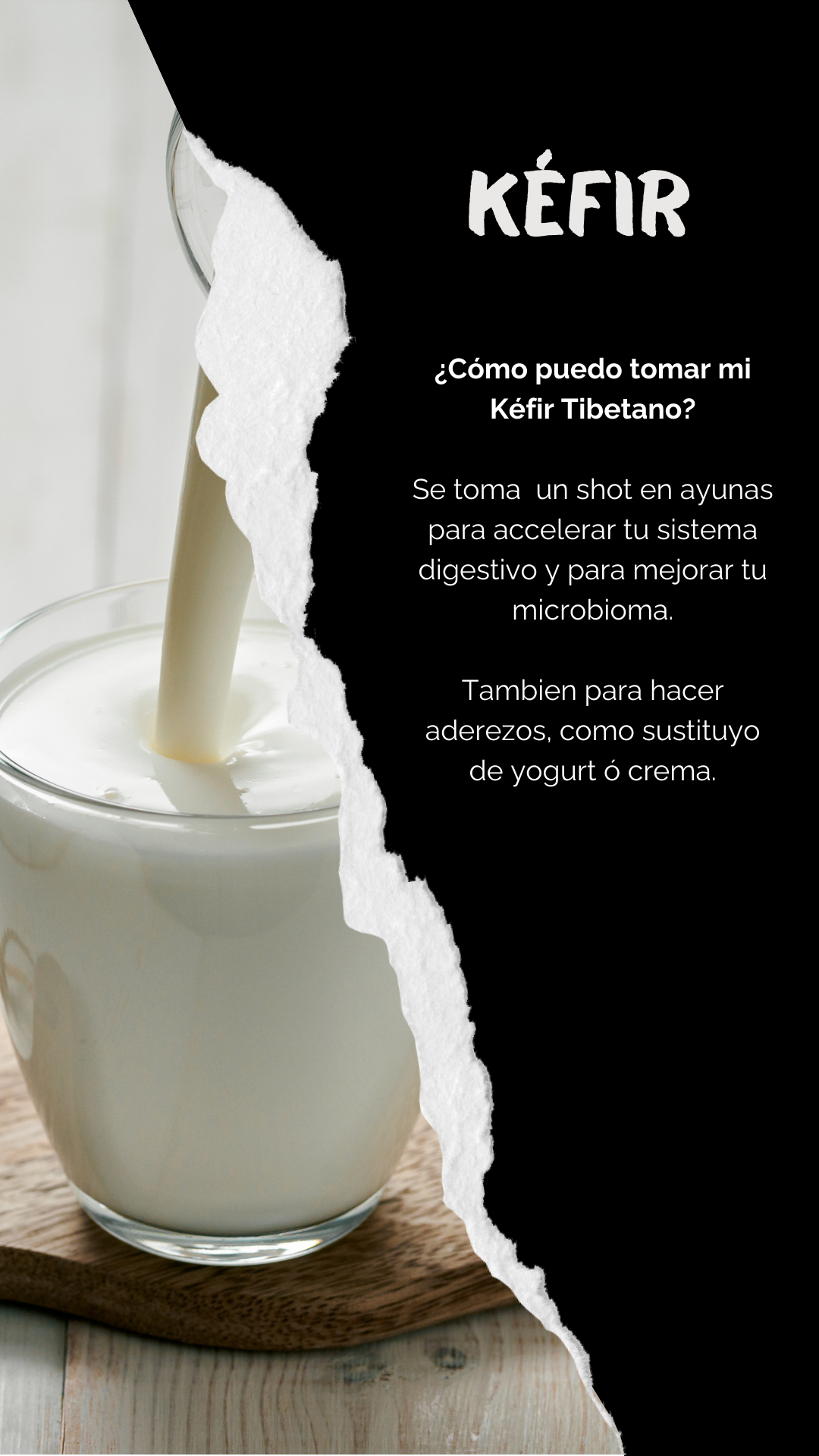 KEFIR DE LECHE = FERMENTO DE LECHE