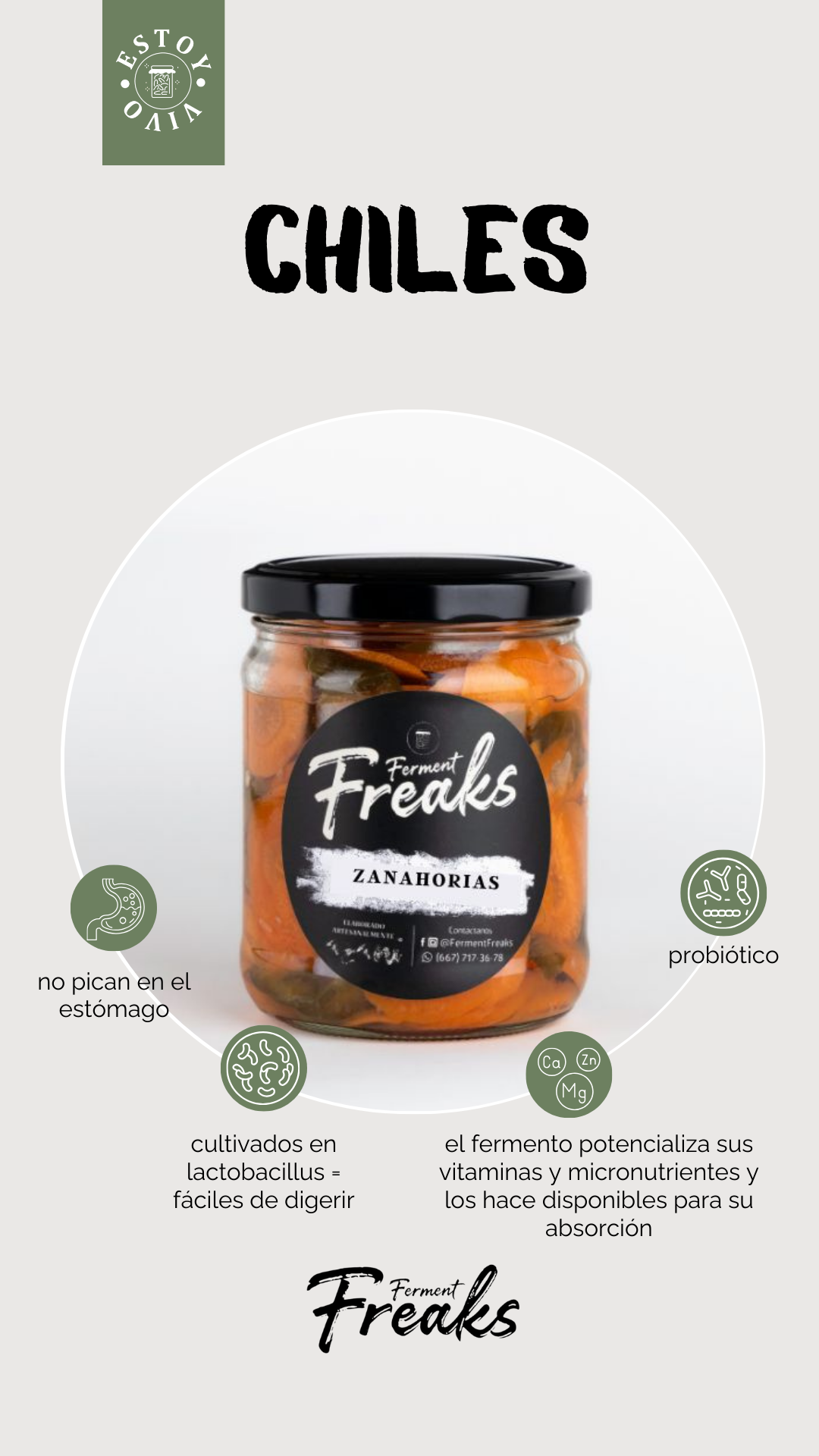 ZANAHORIAS FERMENTADAS