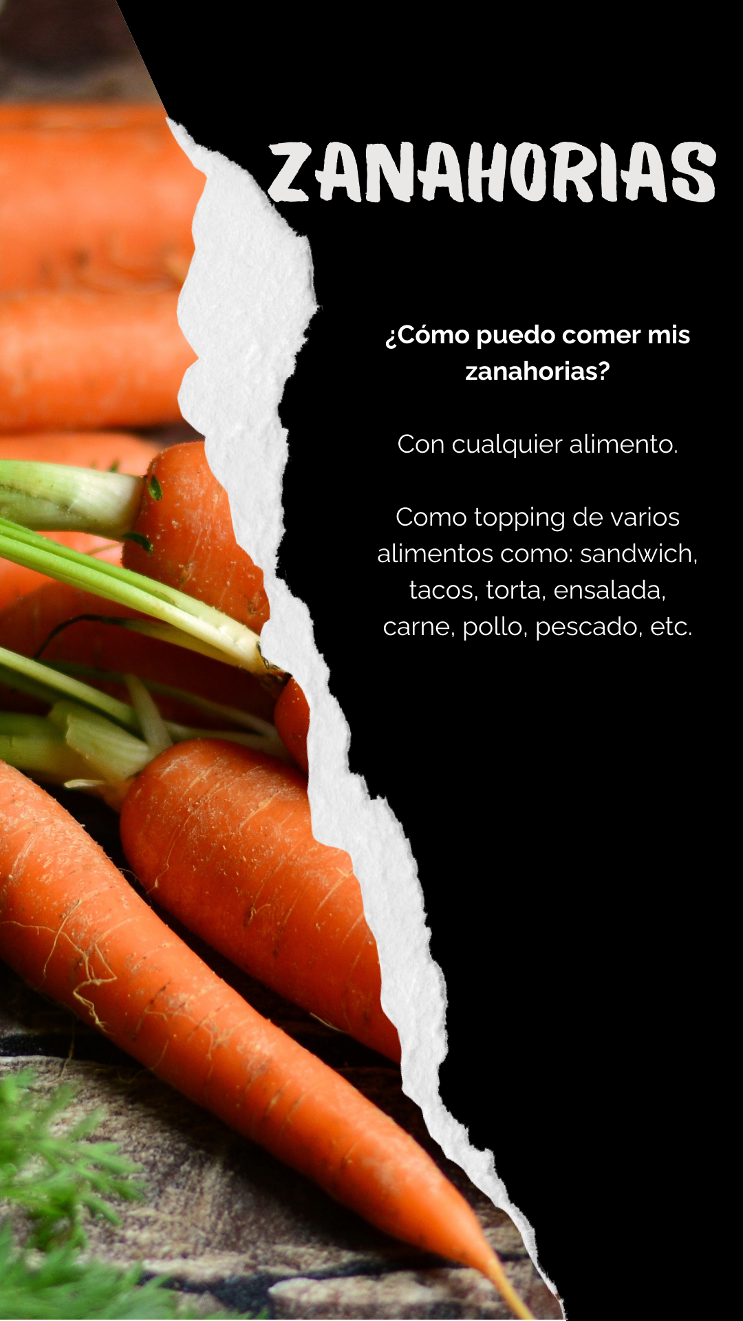 ZANAHORIAS FERMENTADAS