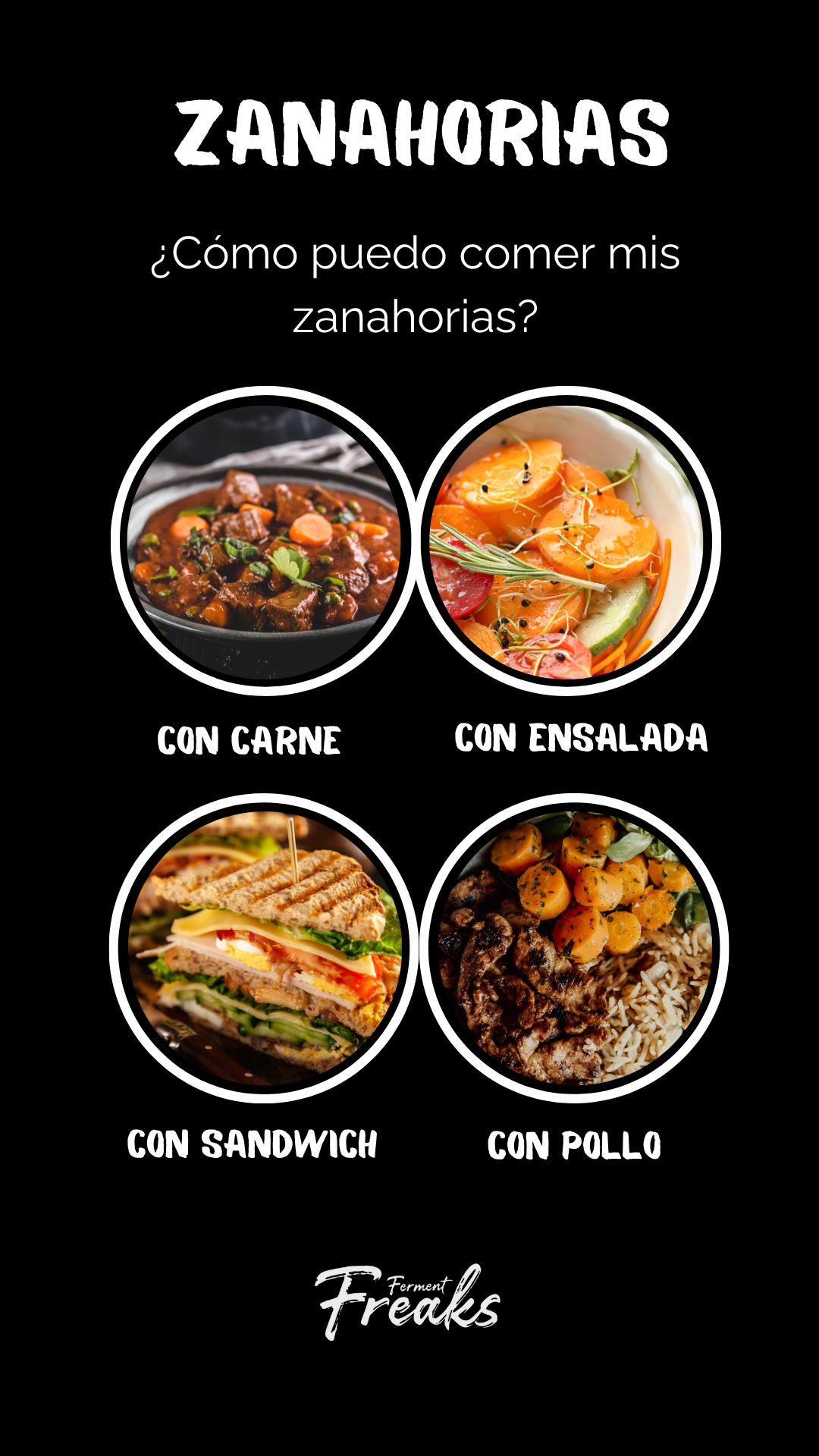 ZANAHORIAS FERMENTADAS